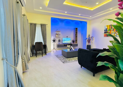 One Bedroom Apartment